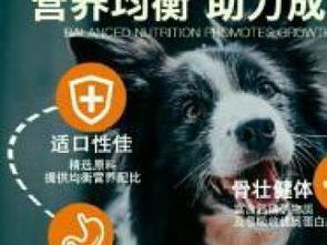 图 全国批发猫粮狗粮 北京宠物食品 用品